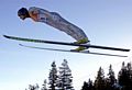 Ski-jumping